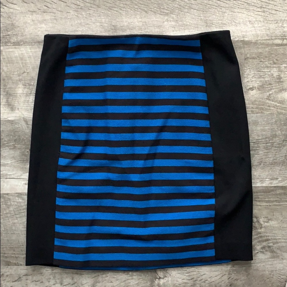 Ann Taylor Skirt